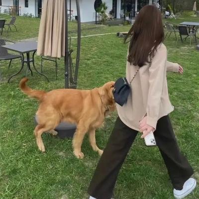热血派